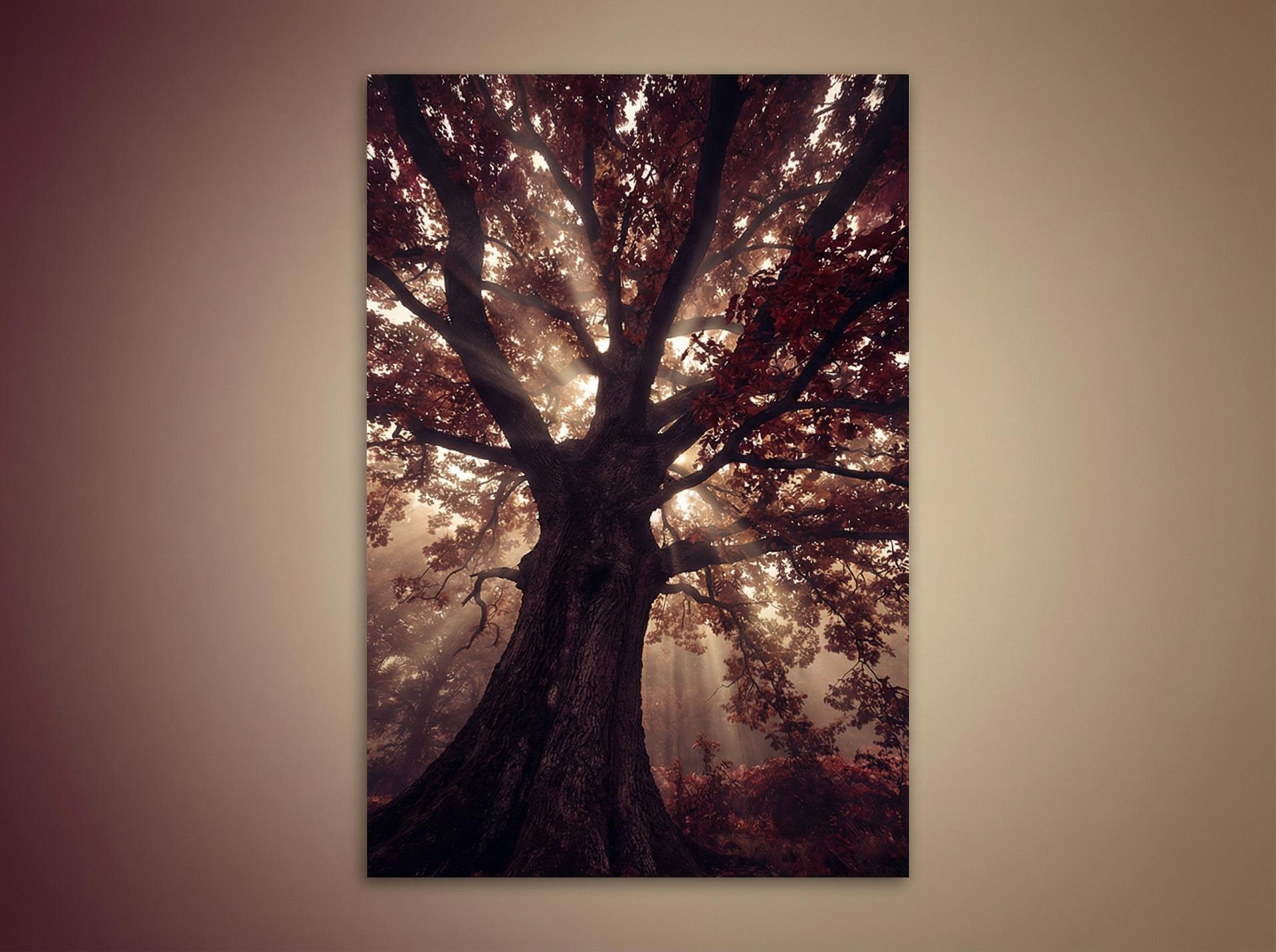 国产自拍 AI植物视频推荐